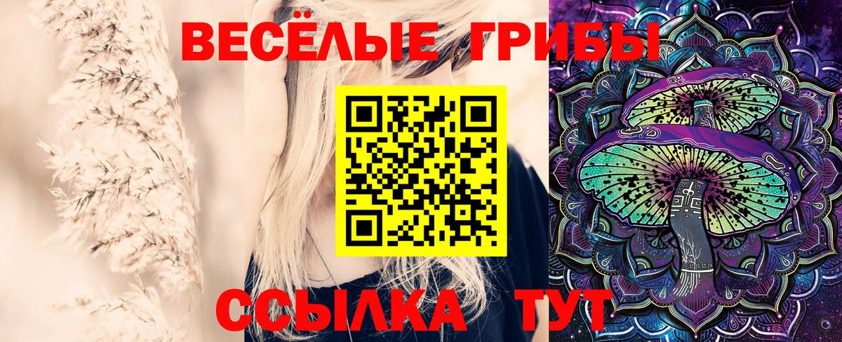Первоуральск  Галлюциногенные грибы ЛСД  Вход с VPN  где продают   Галлюциногенные грибы Magic Shrooms 
